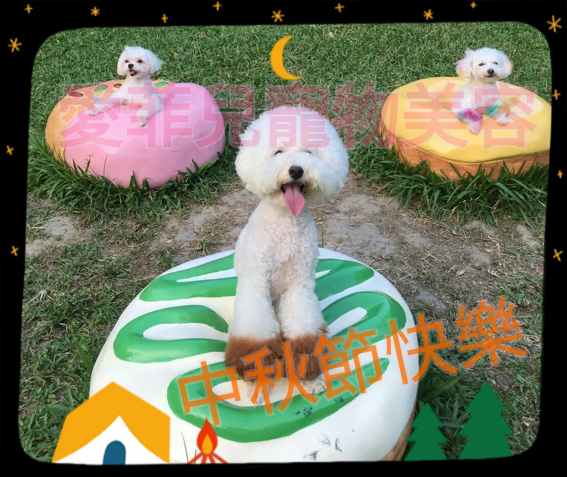 愛菲兒寵物美容