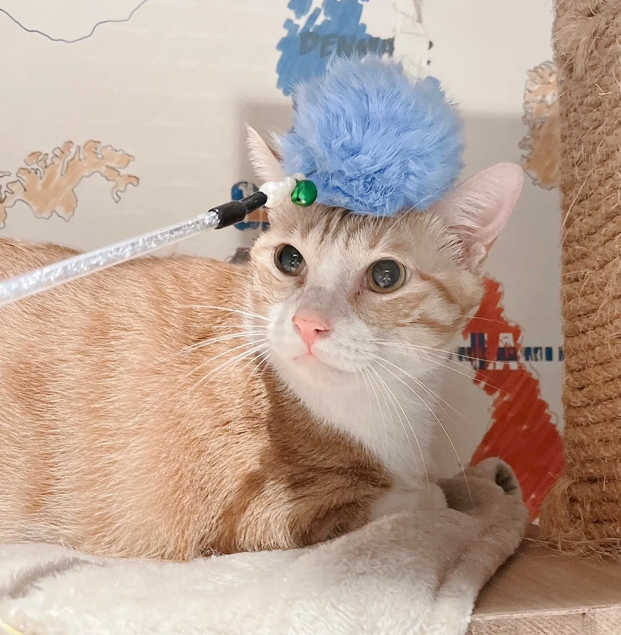 喵星人寵物生活用品店