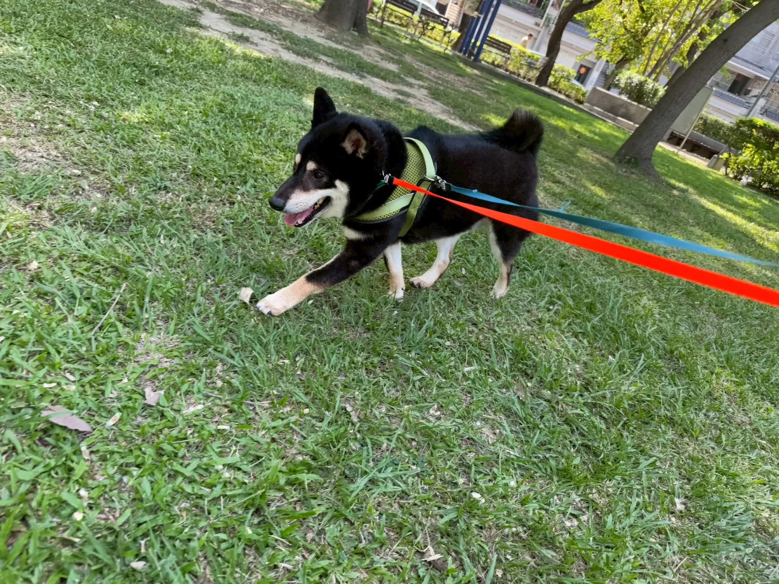 霏霏寵物度假會館