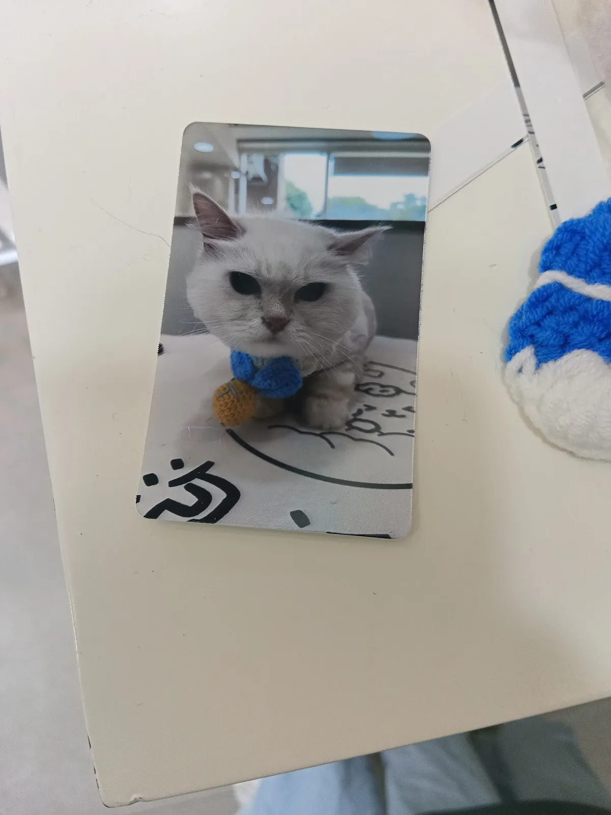 泡泡派對寵物店