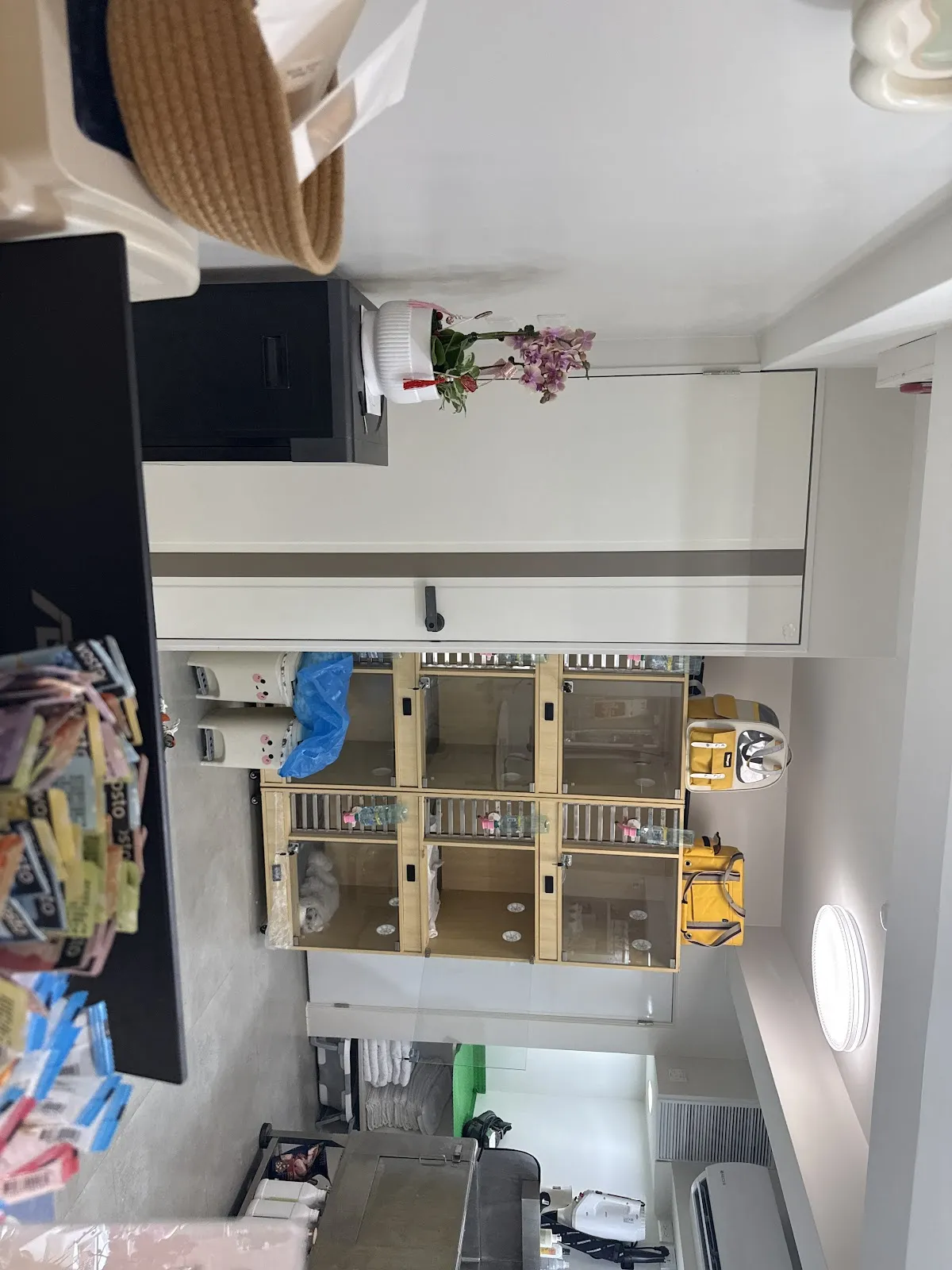 泡泡派對寵物店