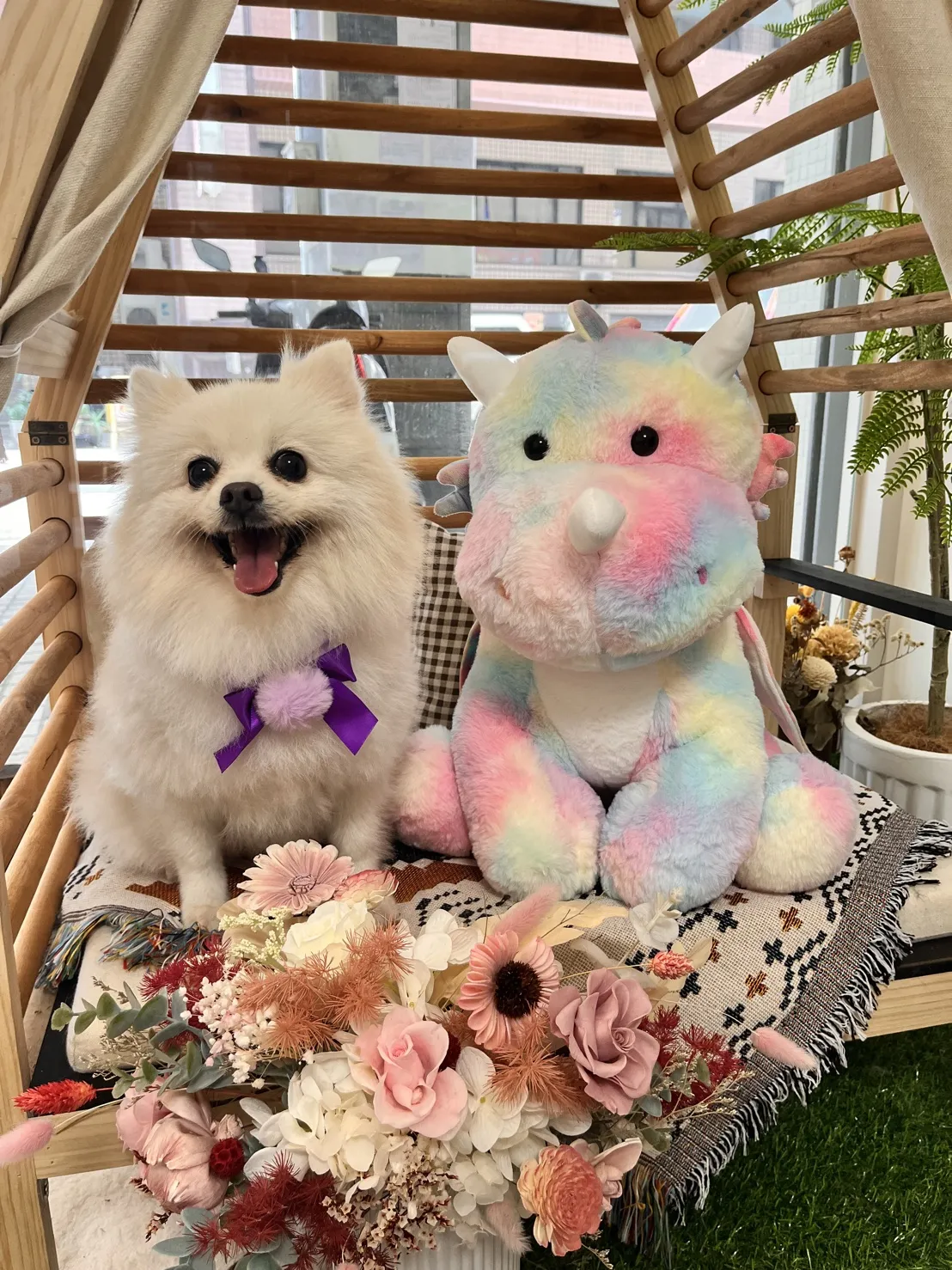 毛小窩寵物生活館