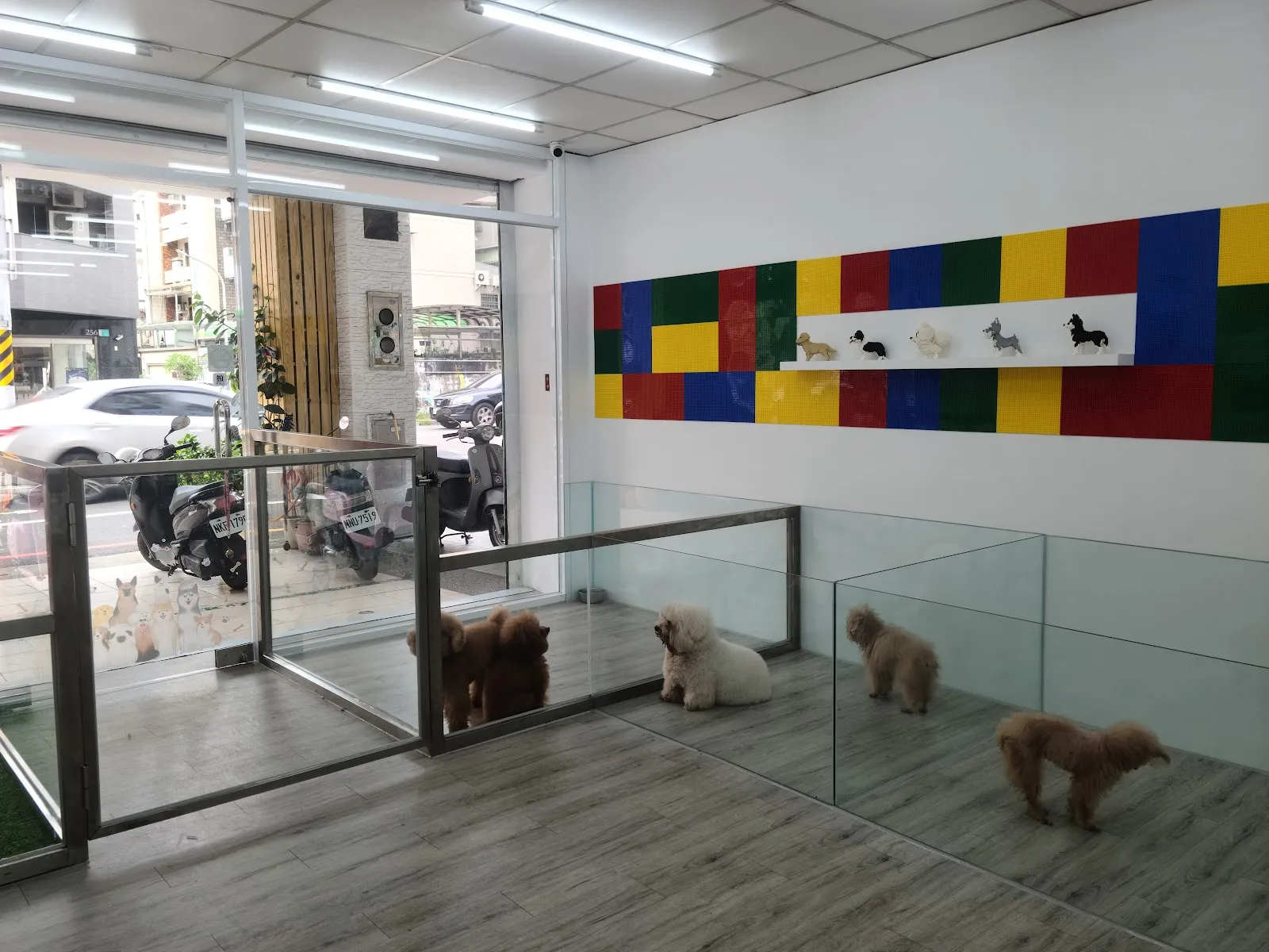 桃樂斯寵物遊樂園