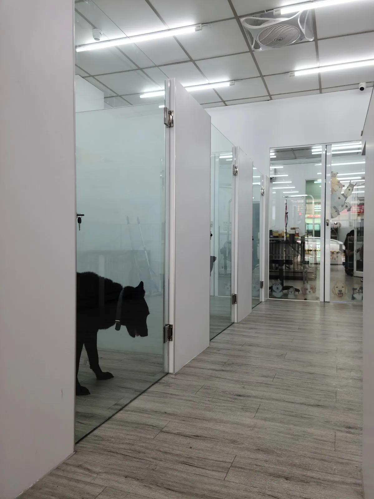 桃樂斯寵物遊樂園