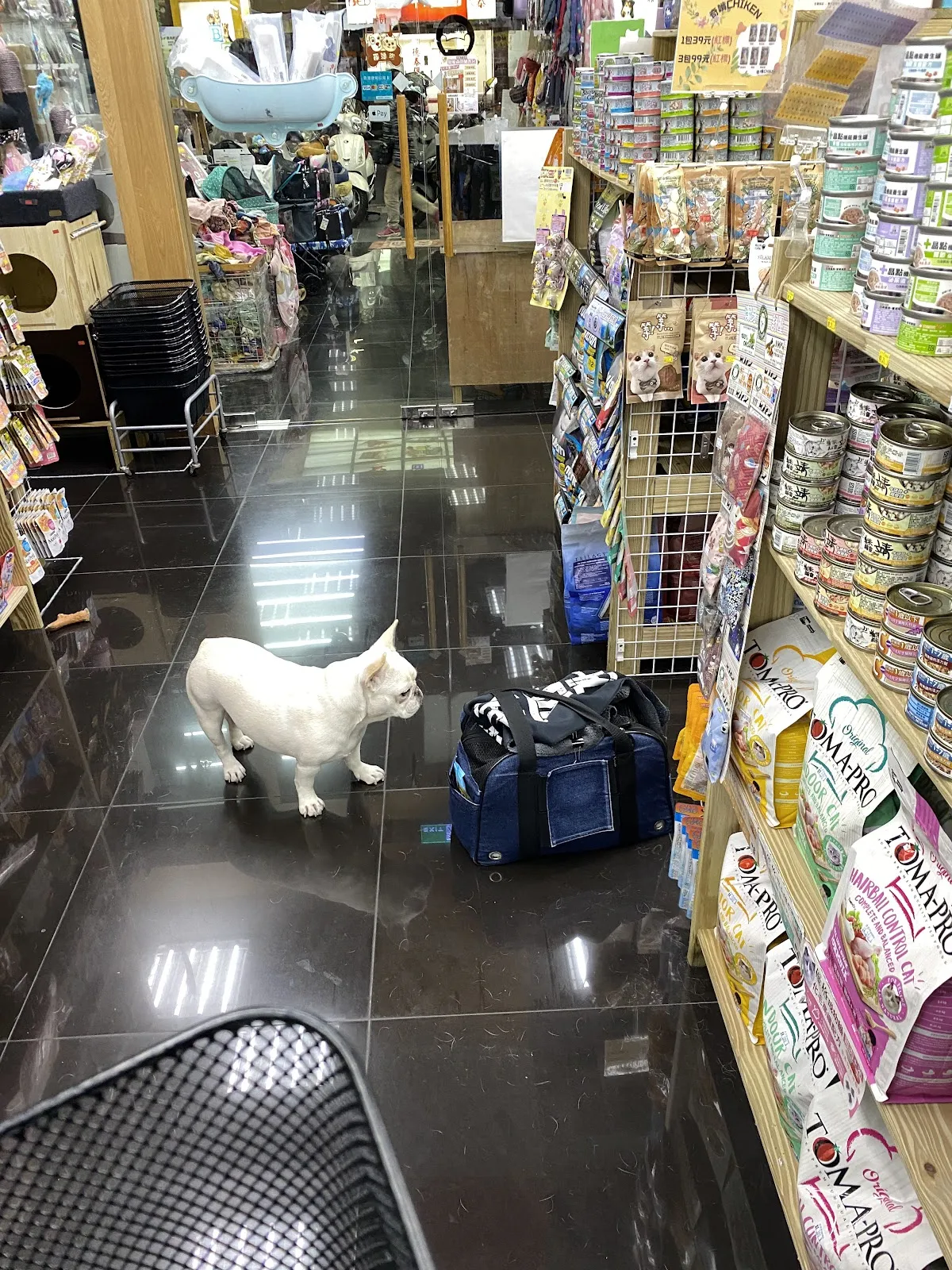 吉比寵物精品店