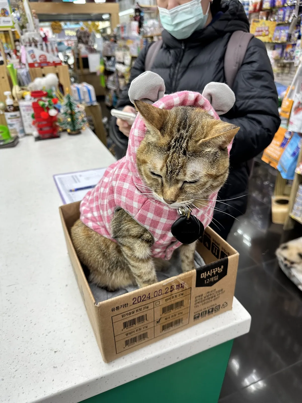 吉比寵物精品店