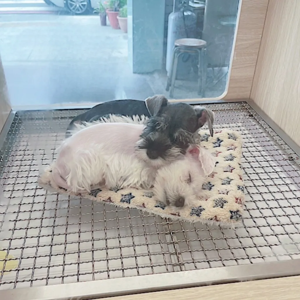 貝寵閣寵物生活館