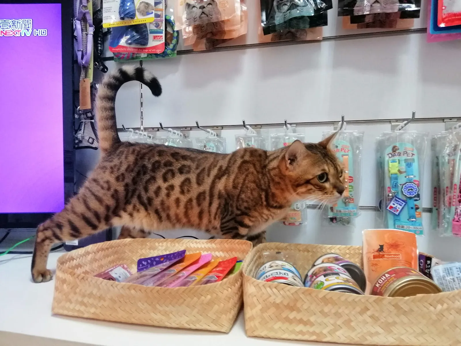 韋米雲樂寵物生活用品店