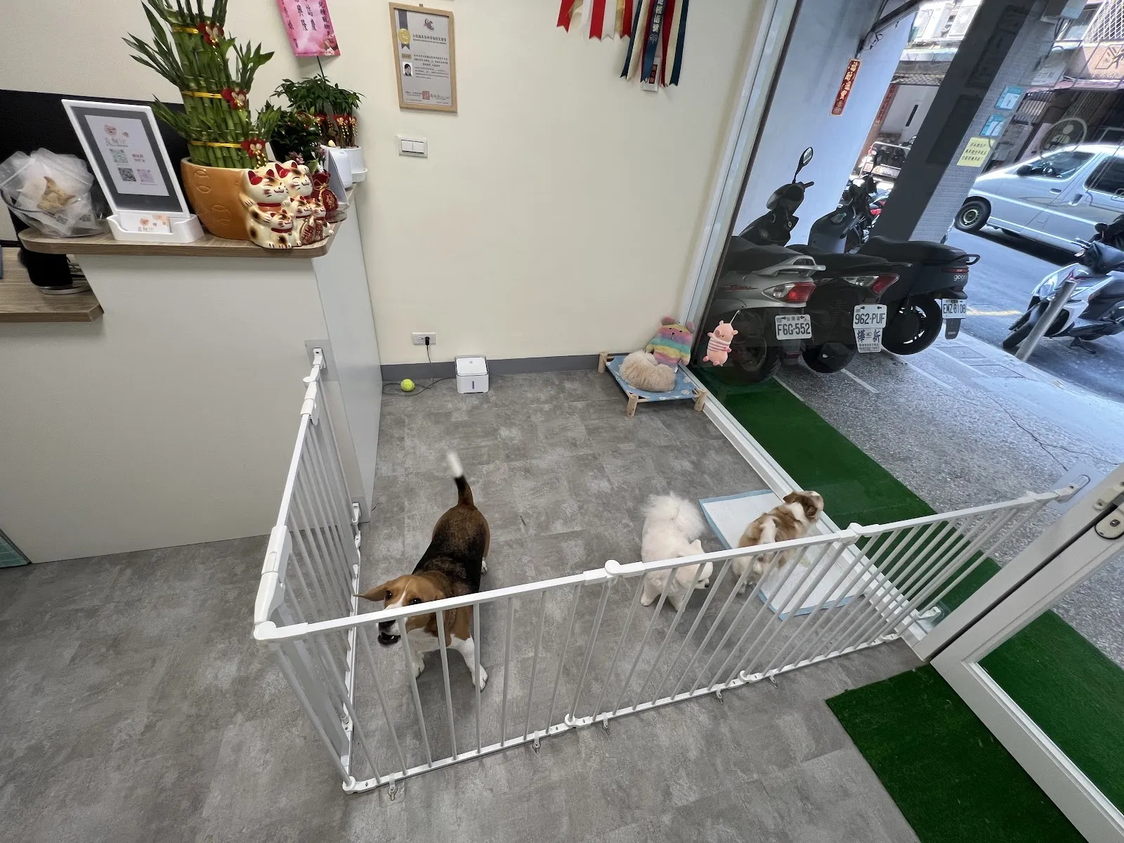 秀狗兒寵物美容