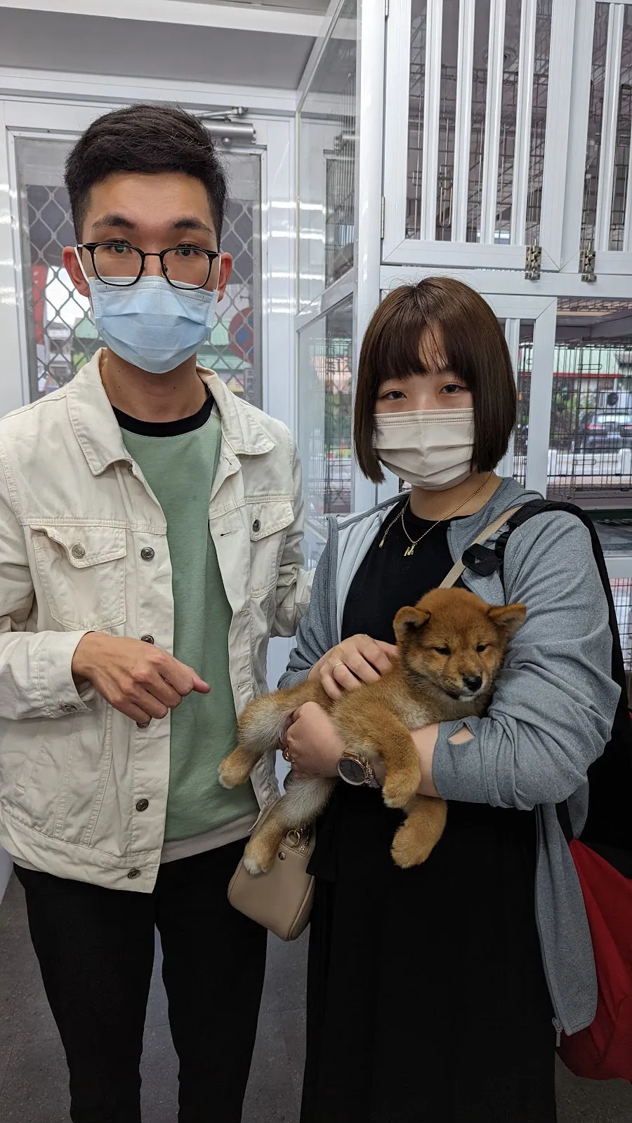 汪汪大師寵物店