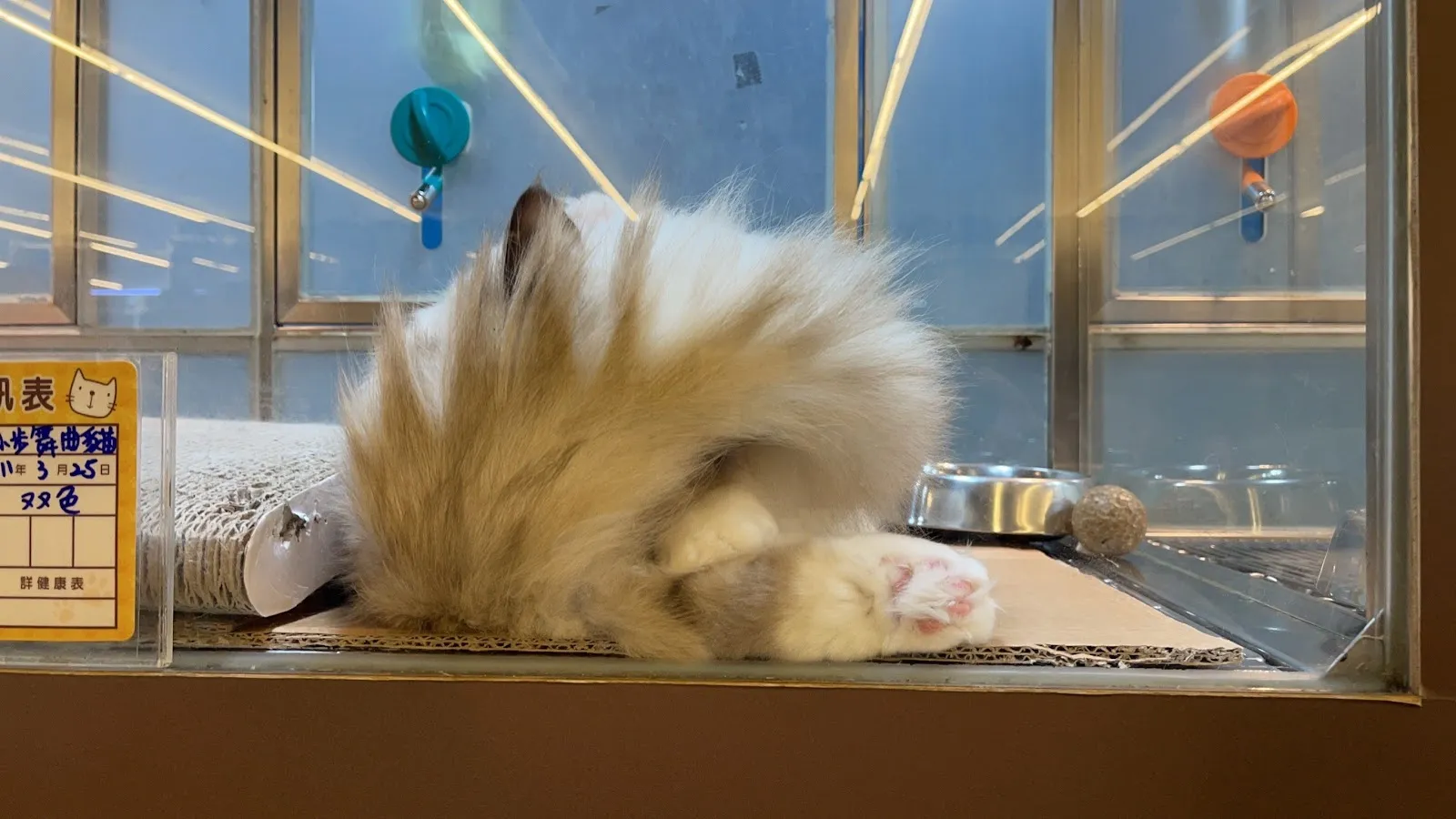 優逗寵物量販店