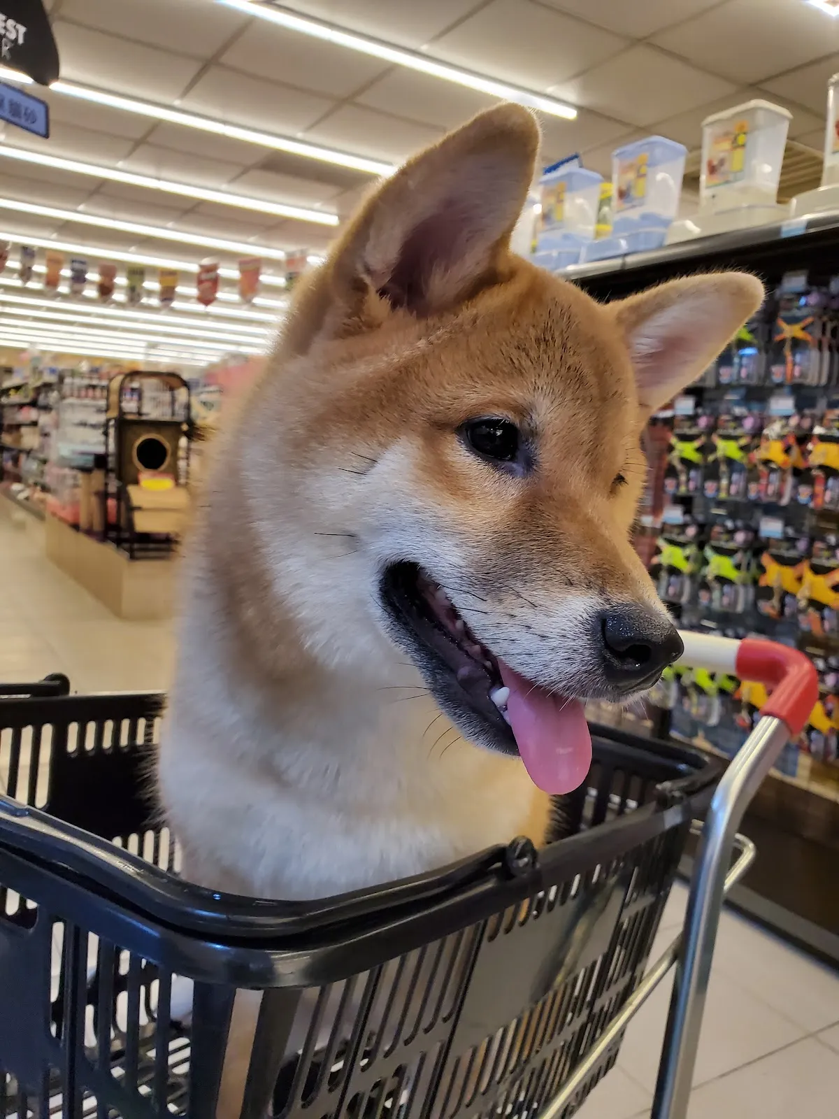 優逗寵物量販店