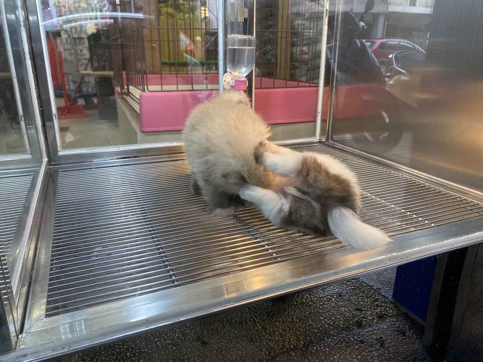 優逗寵物量販店