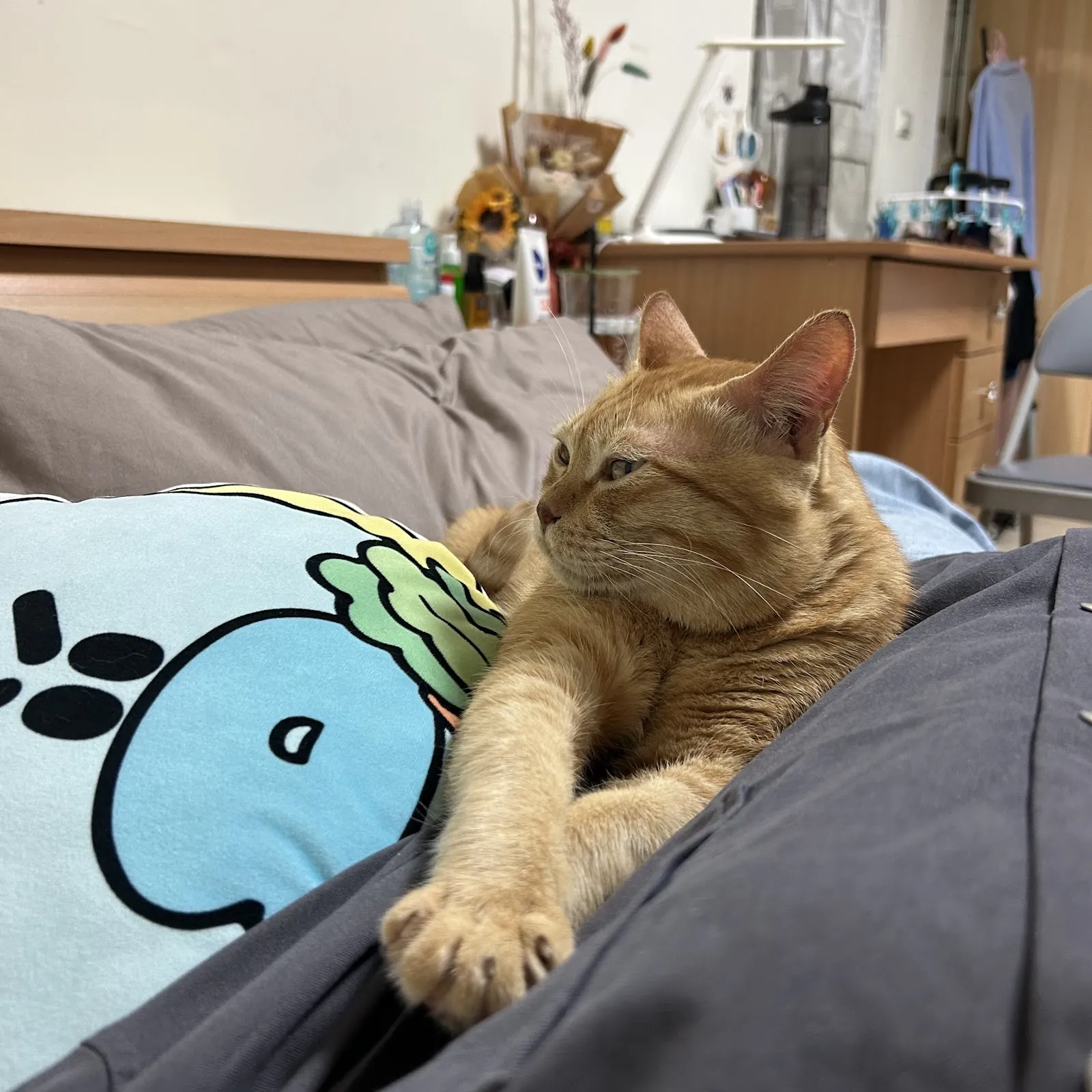 優逗寵物量販店