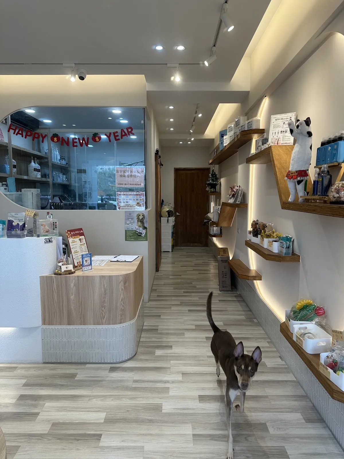 異域世界名犬繁育場