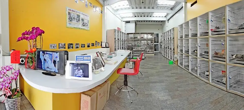 凱媞恩寵物生技企業社