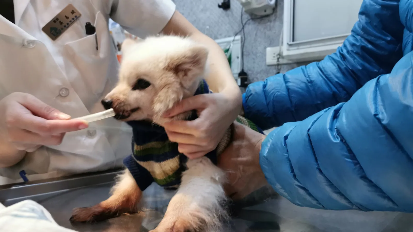 百果山動物診所