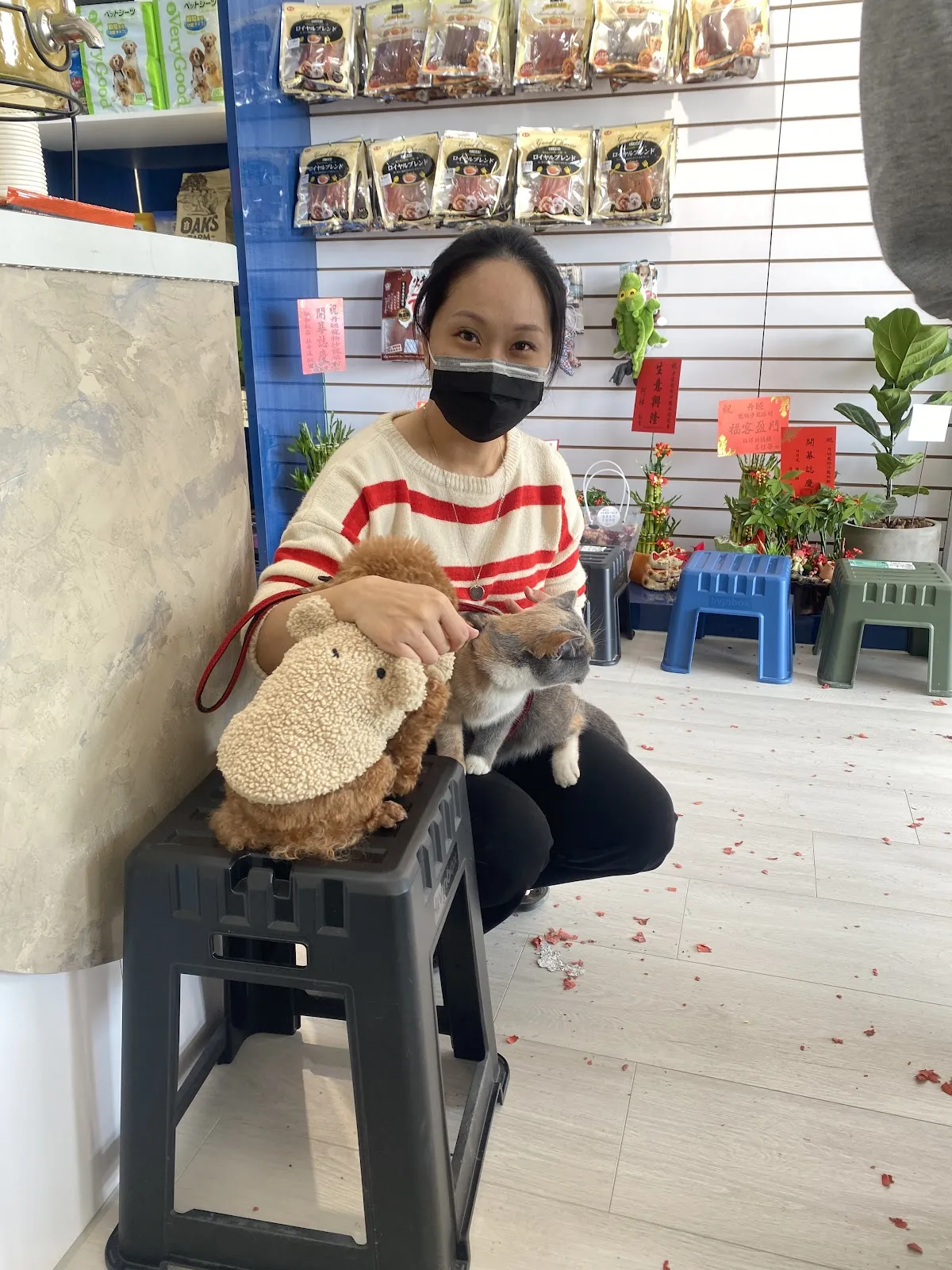 丹晅寵物沙龍旅館