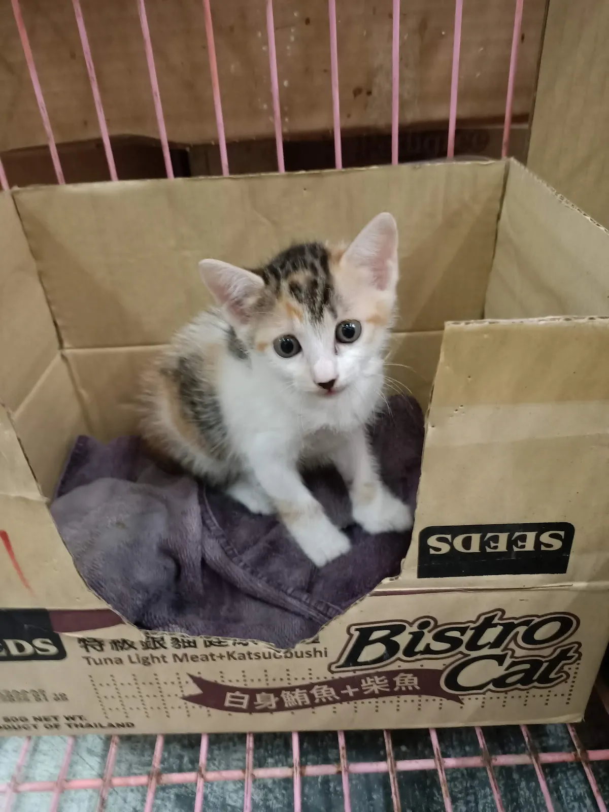 三福寵物用品店