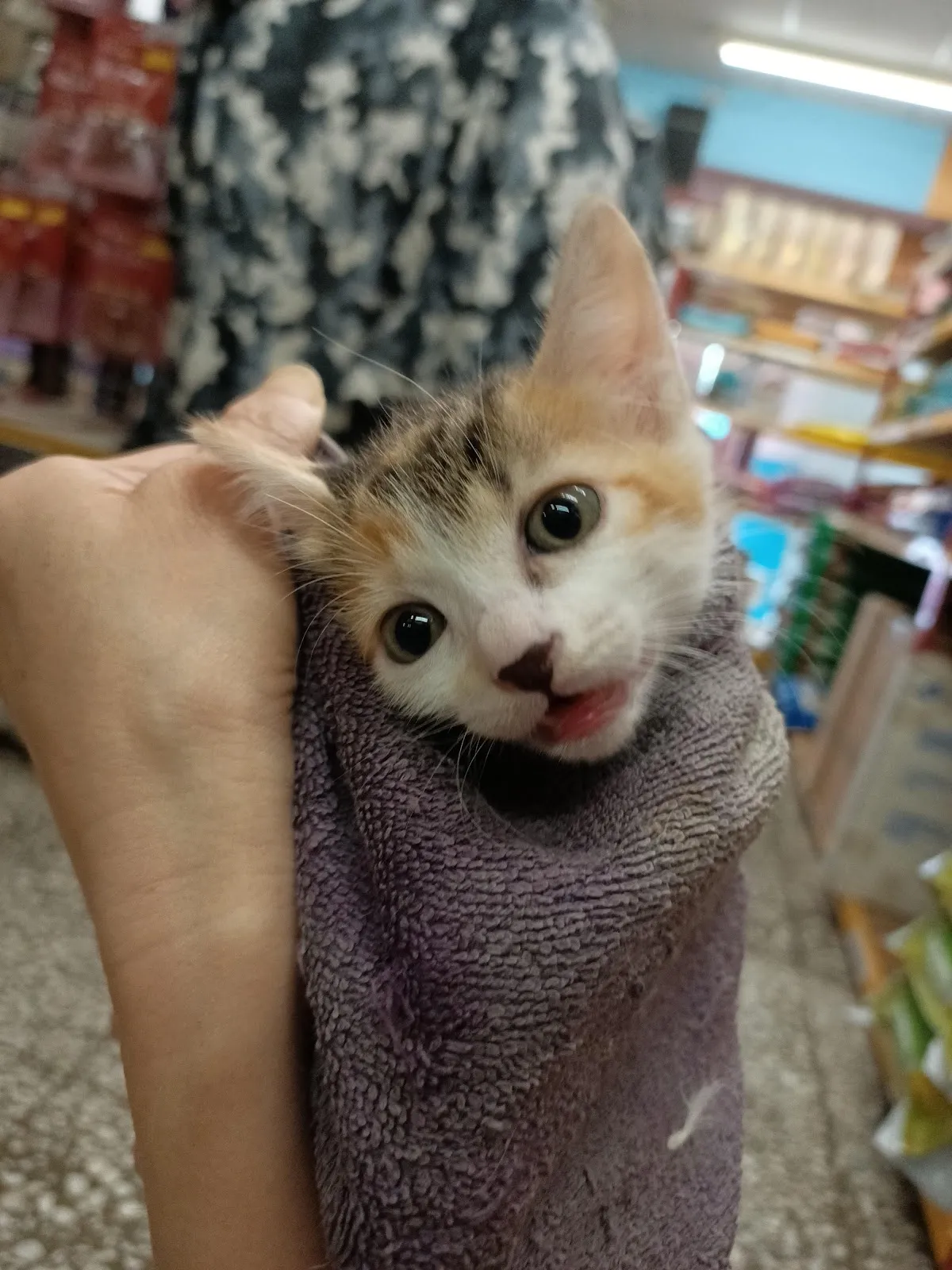 三福寵物用品店