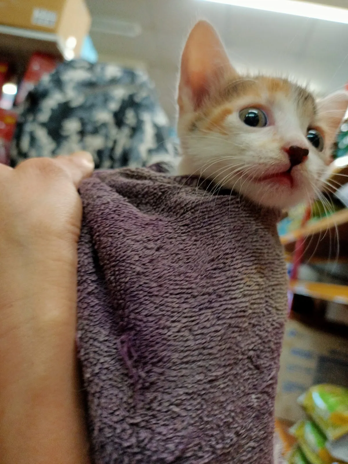 三福寵物用品店