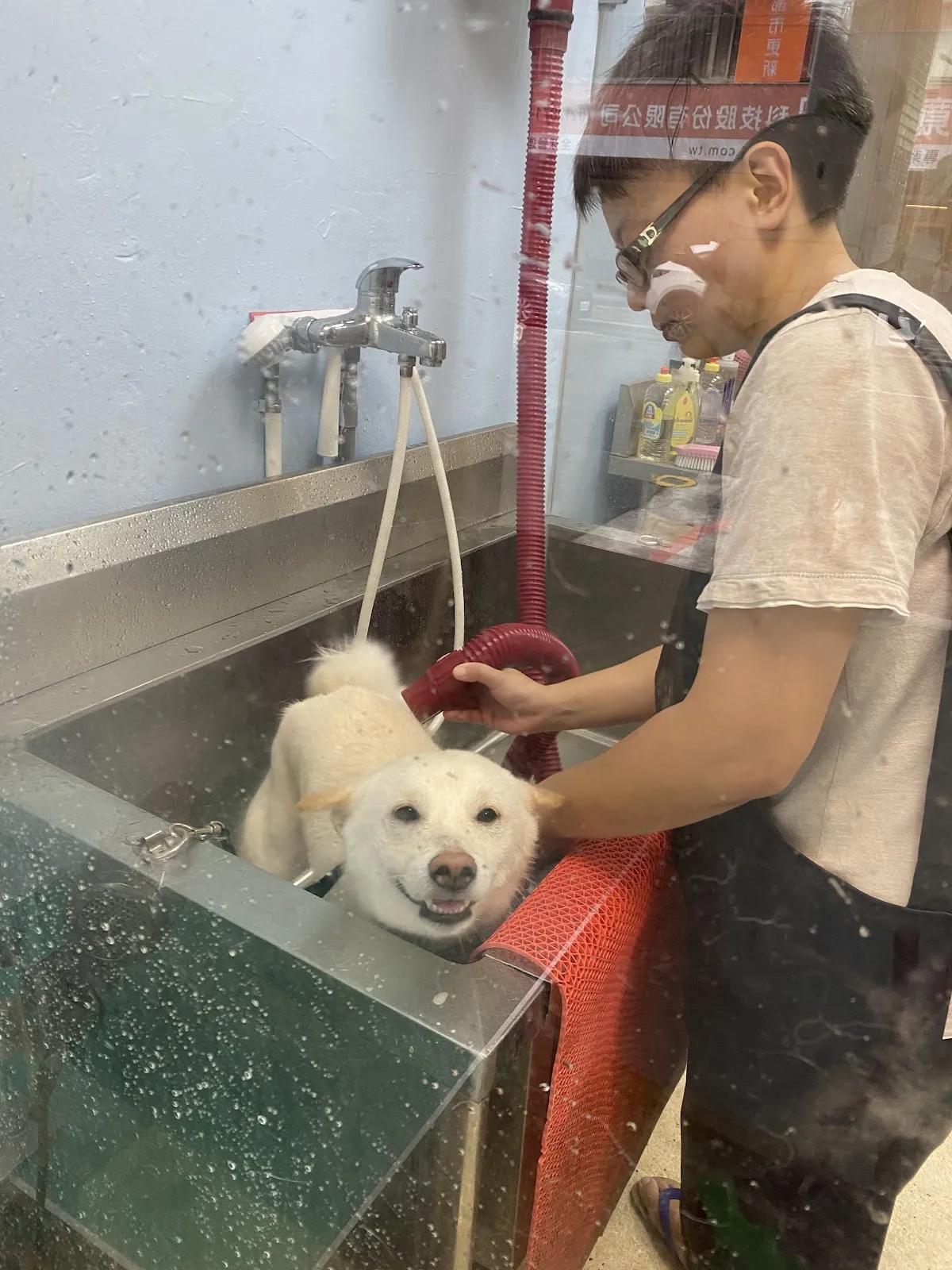 花襪子的家寵物生活館