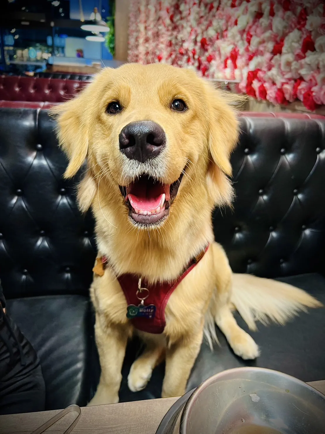 花居寵物生活別館