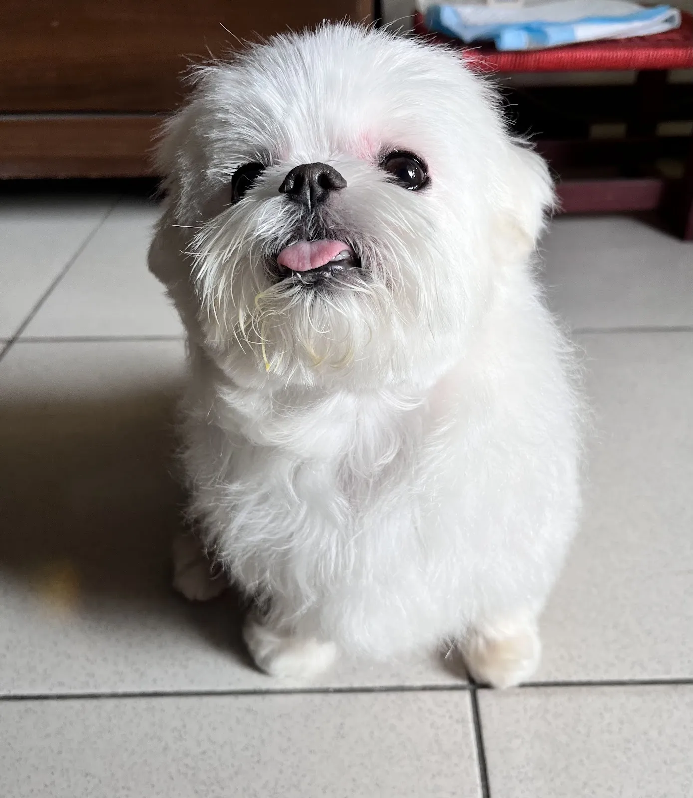 樂沛思寵物生活館