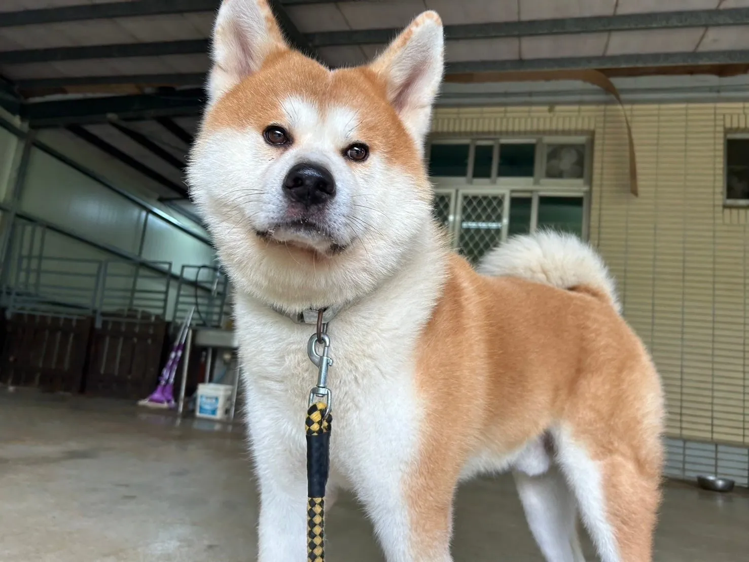 悠遊寵物生活館