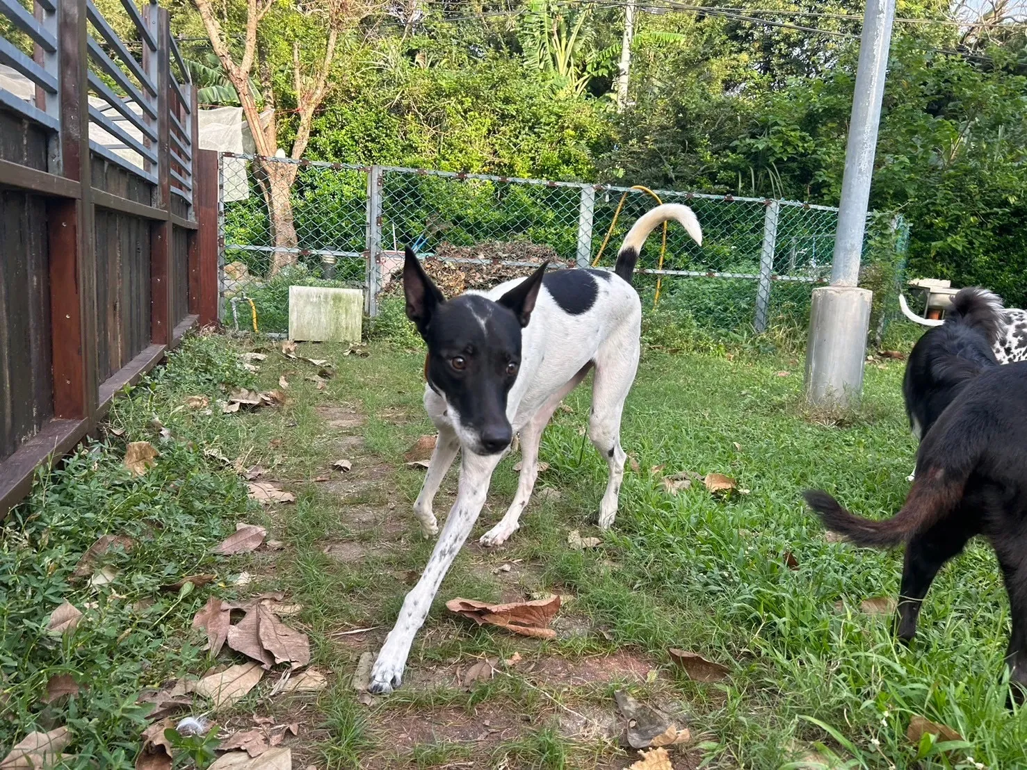 悠遊寵物生活館