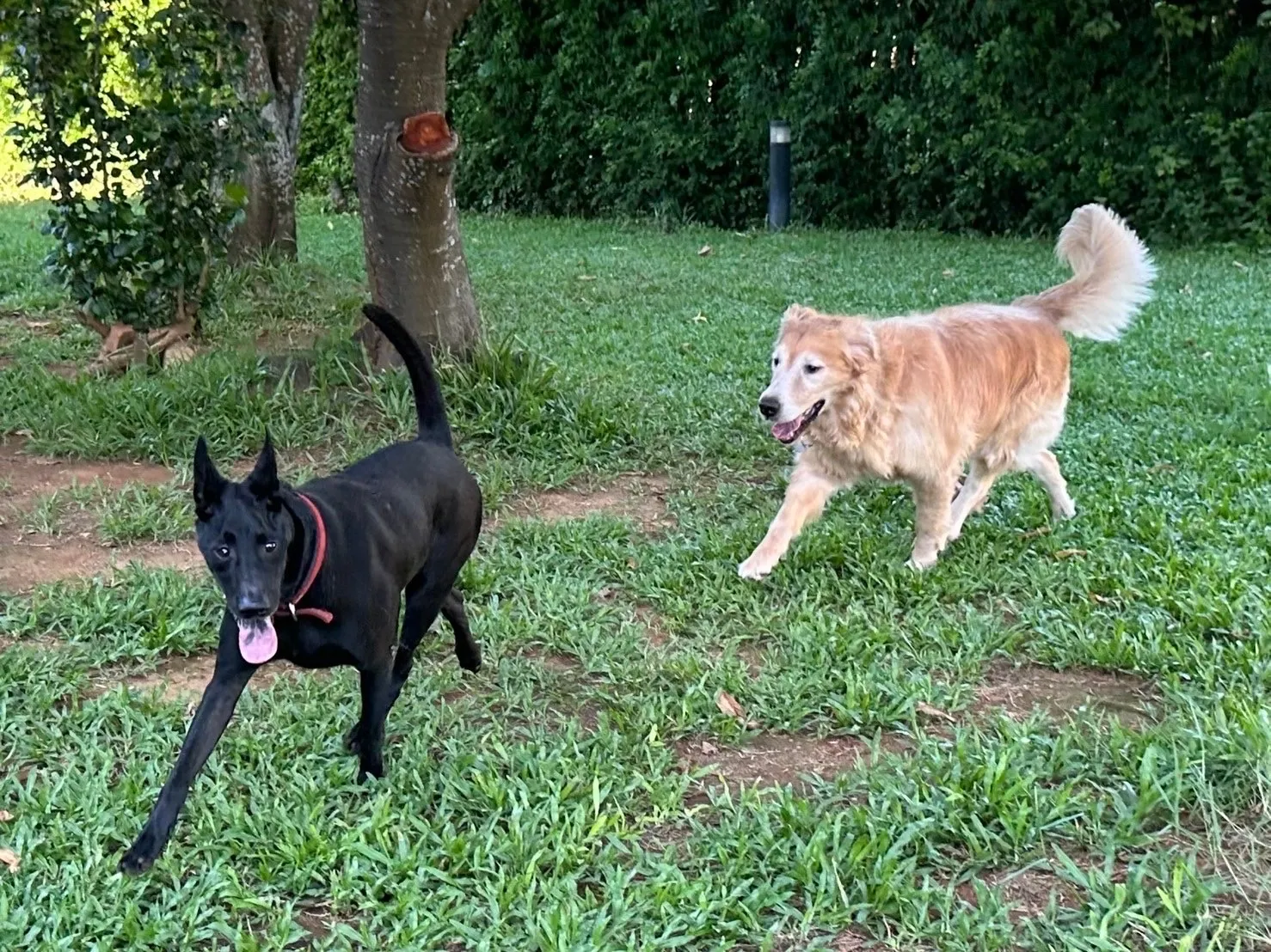 悠遊寵物生活館