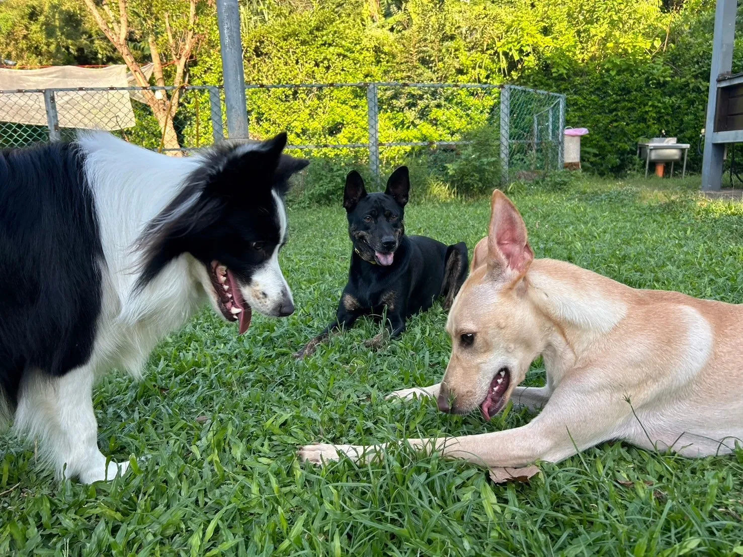 悠遊寵物生活館