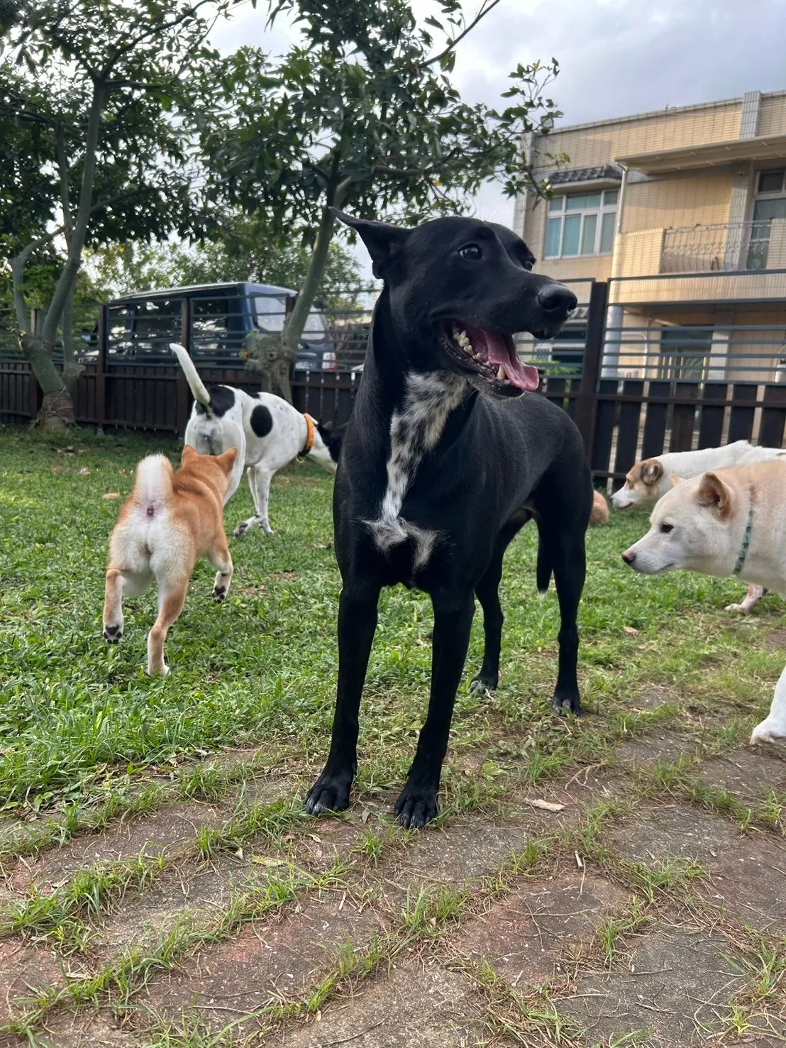 悠遊寵物生活館