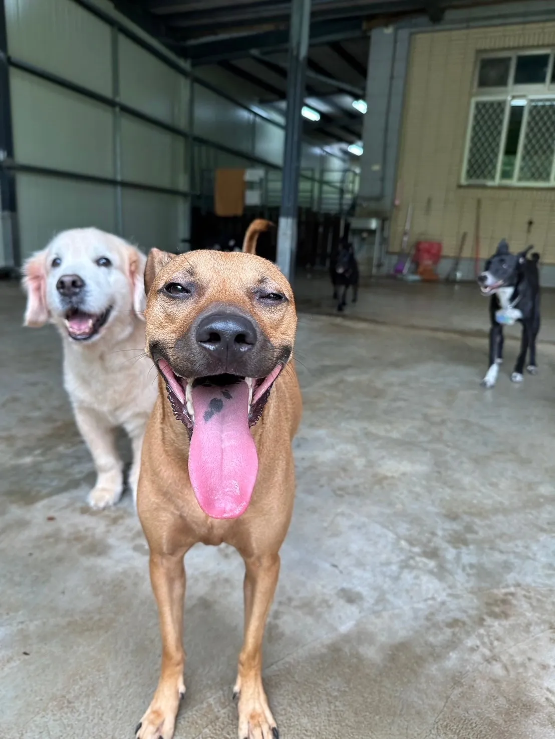 悠遊寵物生活館