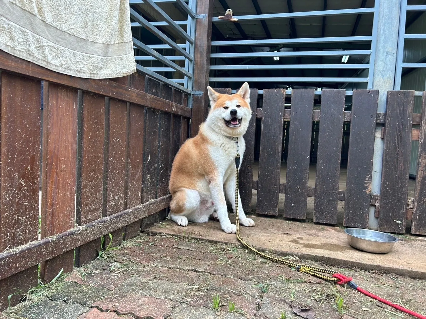 悠遊寵物生活館