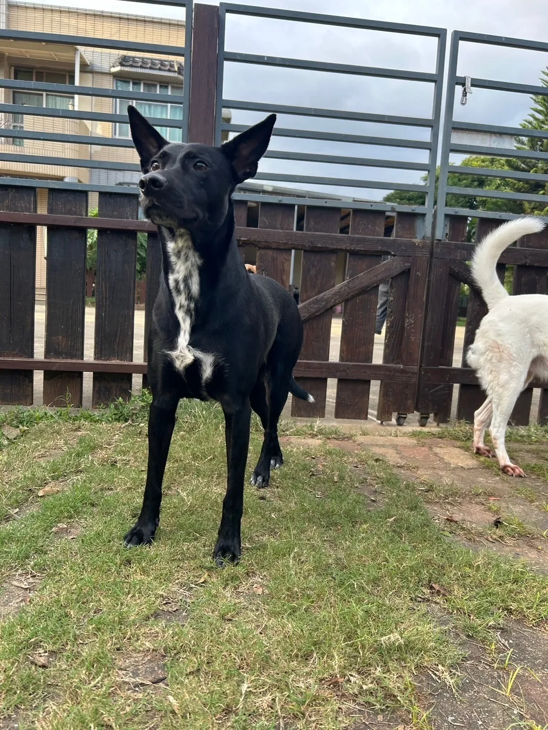 悠遊寵物生活館