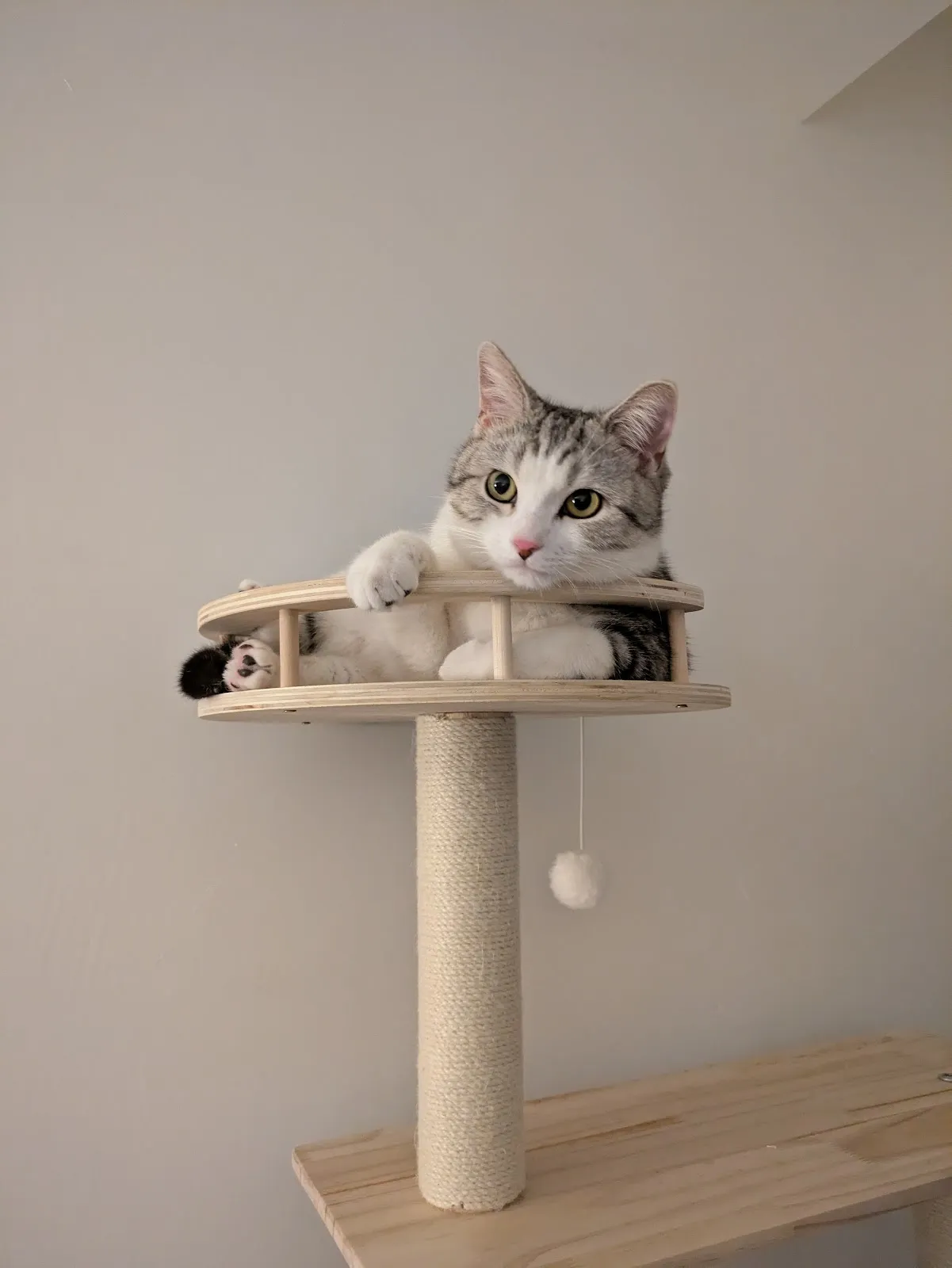 貓悅良犬寵物精品店