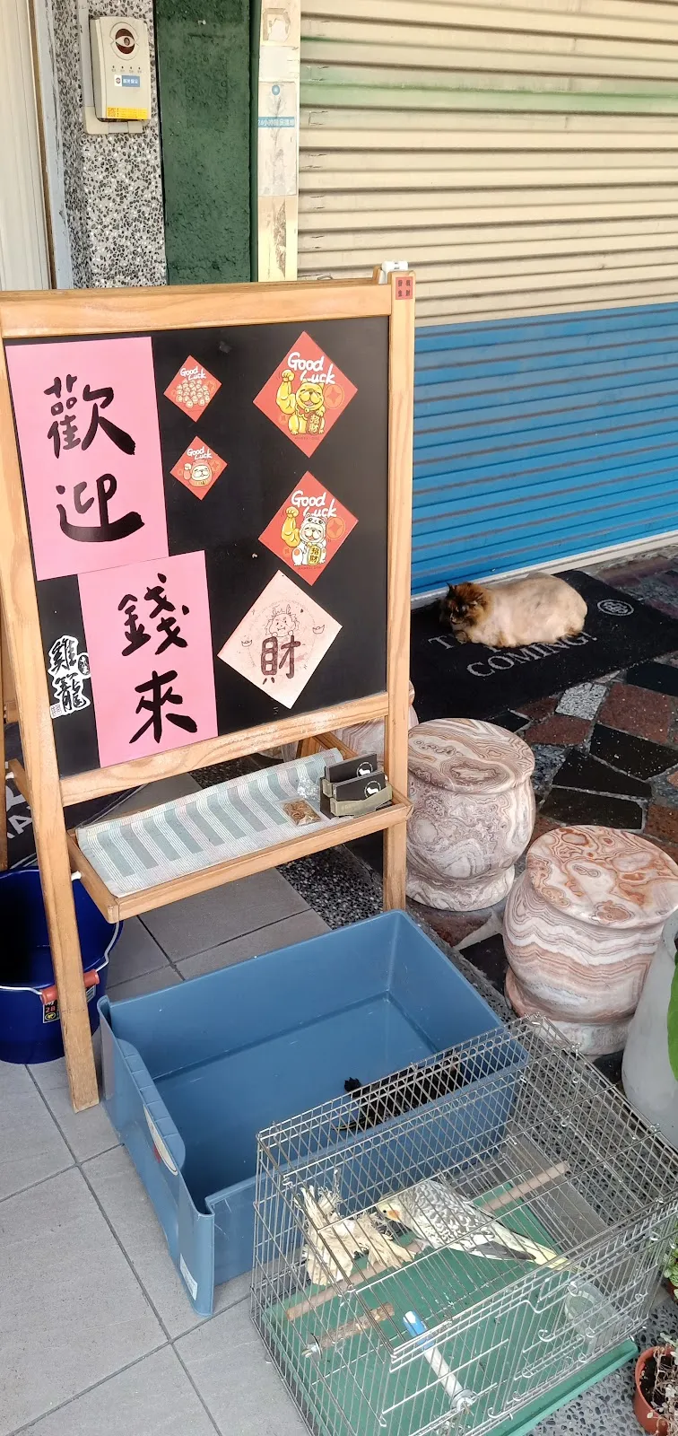 喬森寵物美容坊