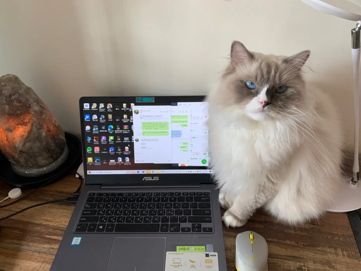 馬吉家族寵物館