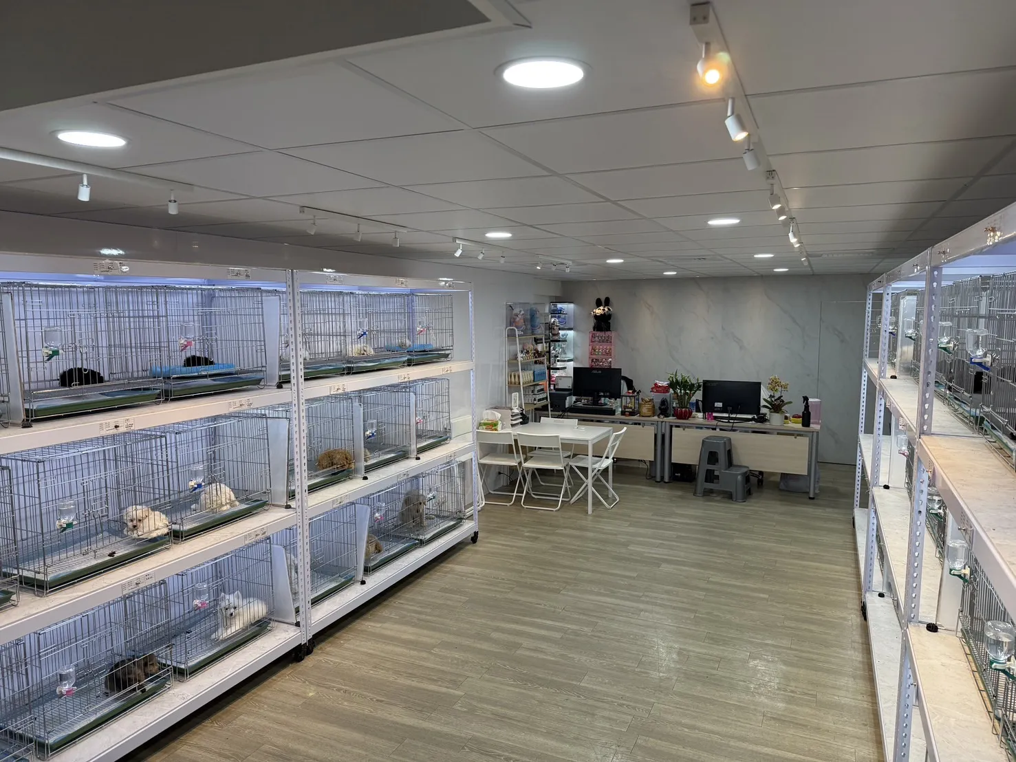 樂芙幼犬寵物犬舍