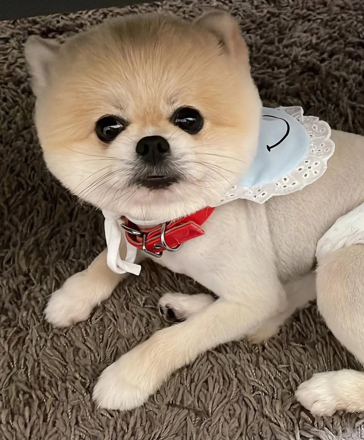 靚靚寵物美容生活館