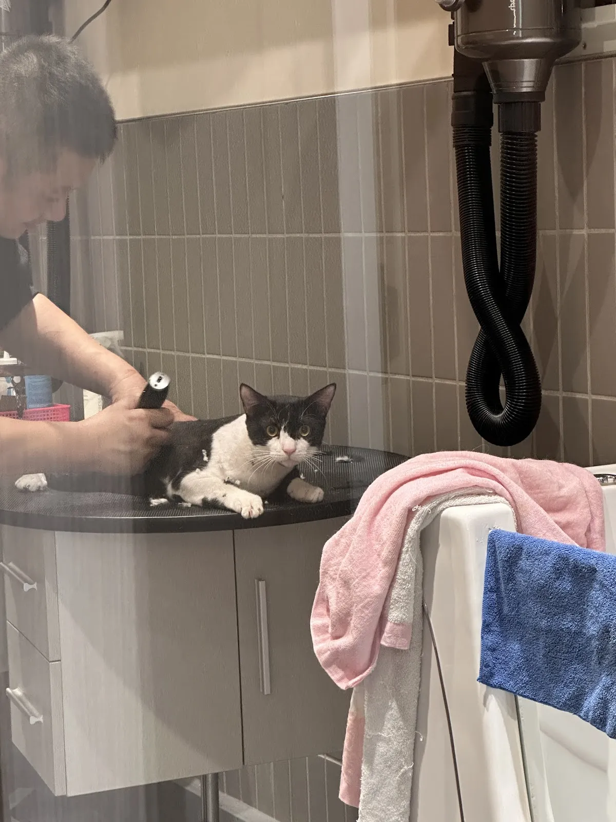 咪咪匠寵物美容