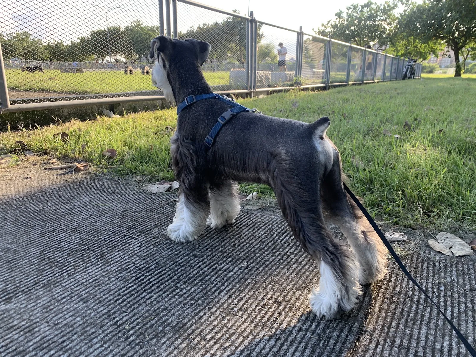 喬森寵物精品屋