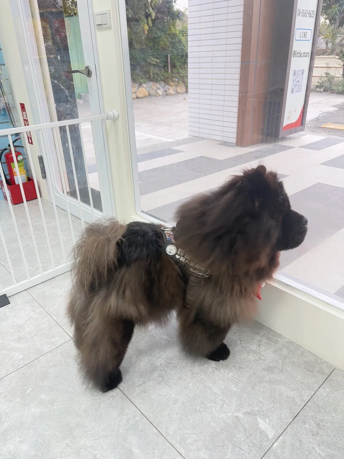 小鑫鑫寵物沙龍