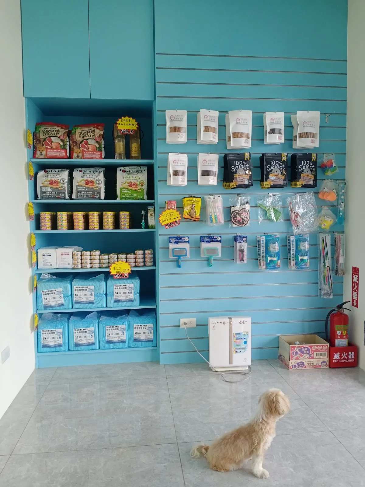 小鑫鑫寵物沙龍