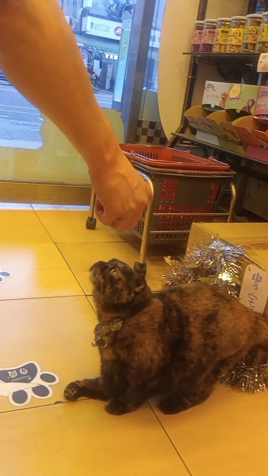 寶羅寵物精品店