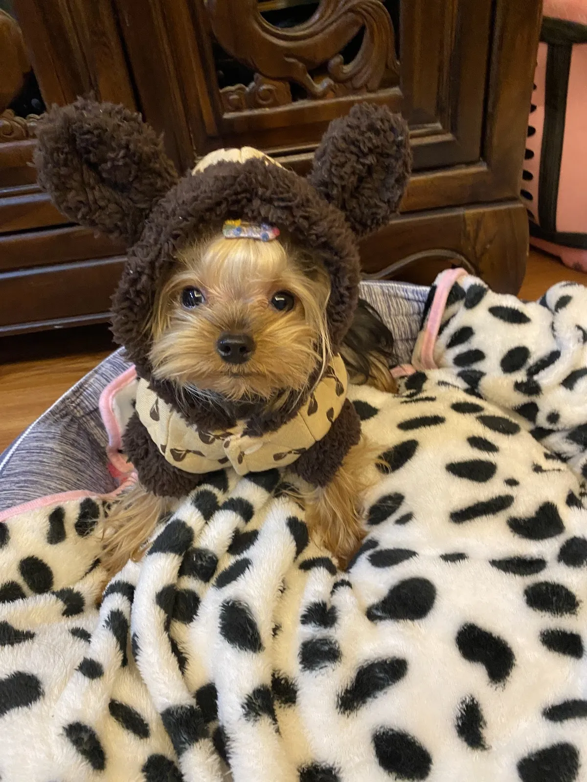 寵物的家生活館