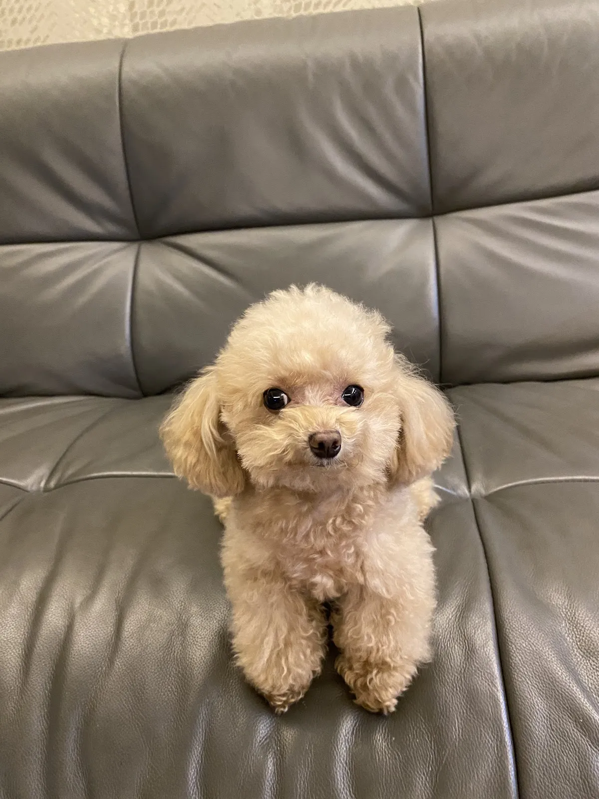 寵物的家生活館