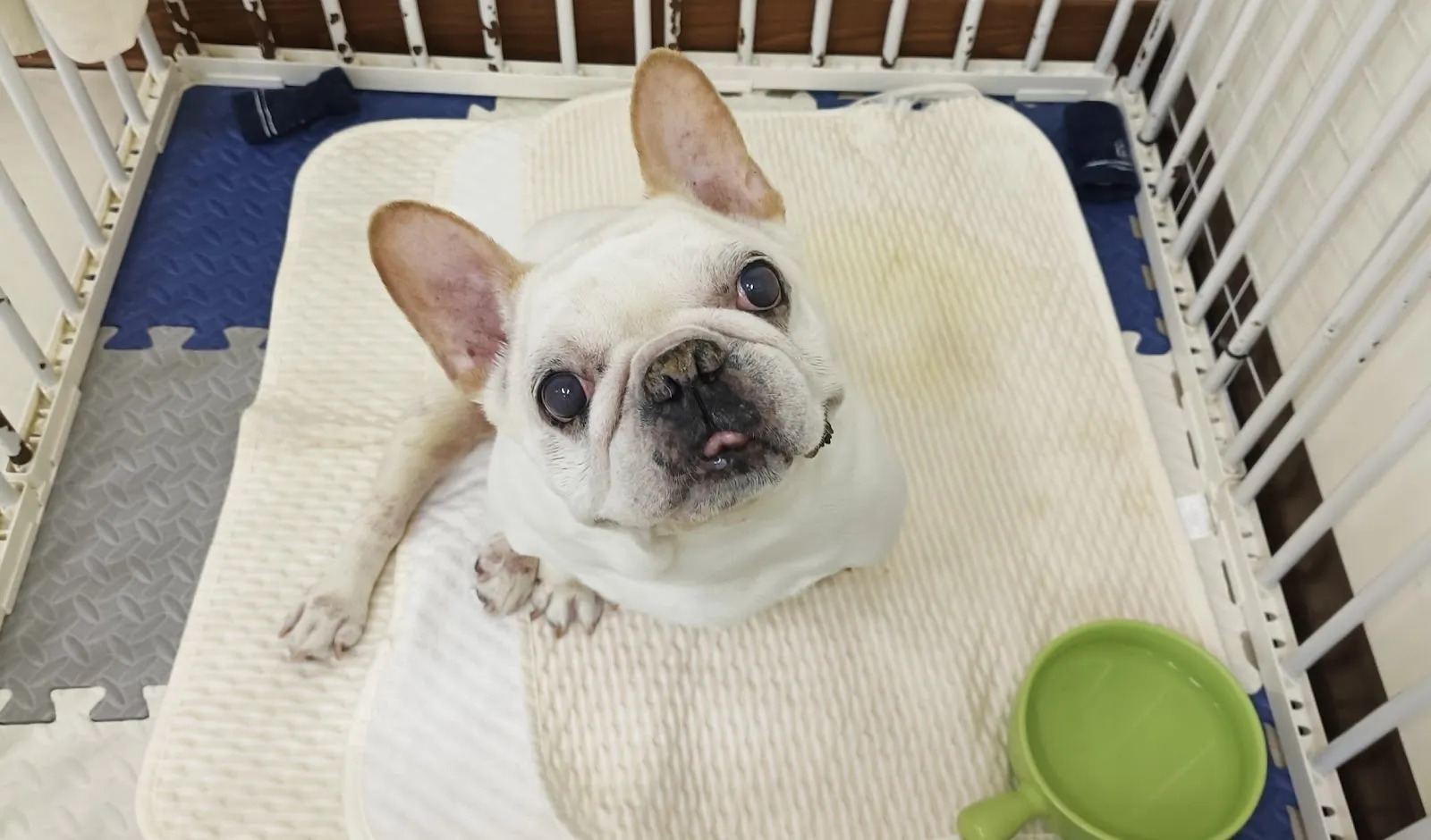 醬心萌孩旅行館