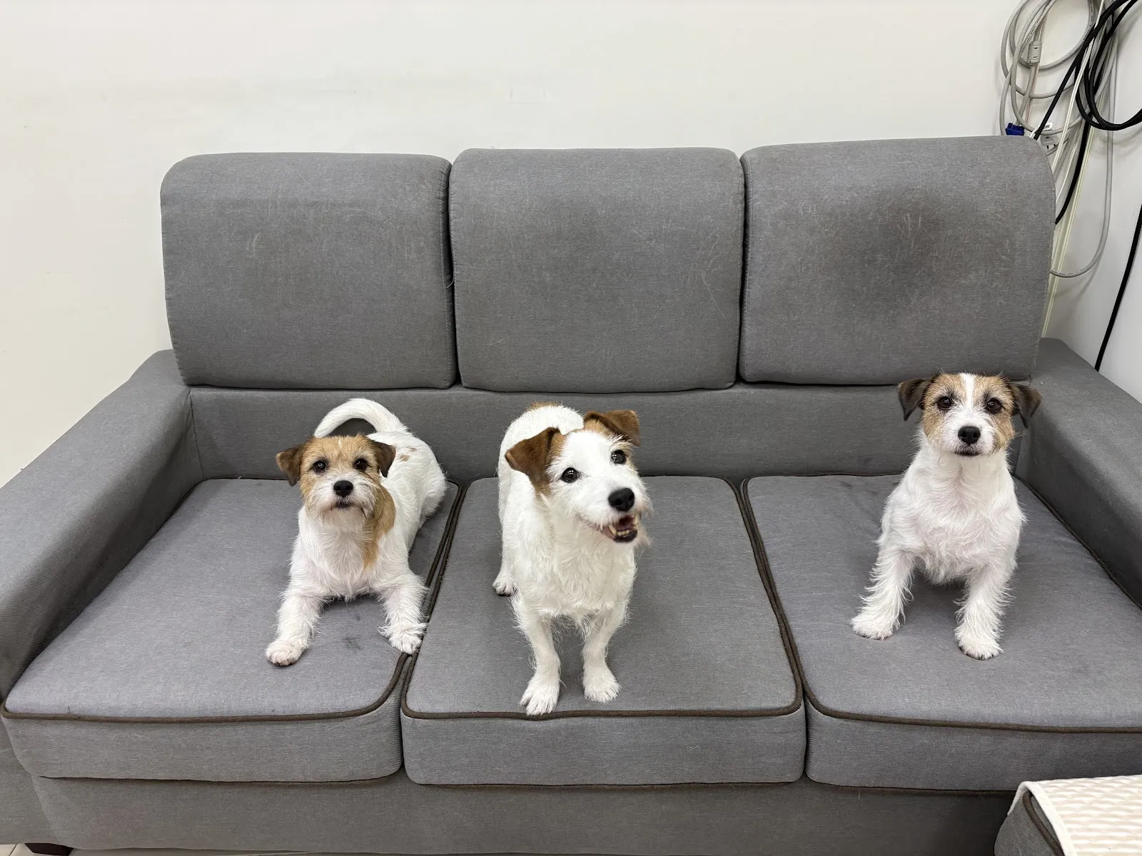 醬心萌孩旅行館